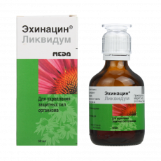 Эхинацин Ликвидум 50 мл раствор для приема внутрь