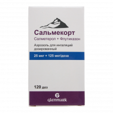 Сальмекорт аэроз. д/ингал. доз. 25мкг+125мкг/доза 120доз №1