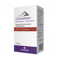 Сальмекорт аэроз. д/ингал. доз. 25мкг+250мкг/доза 120доз №1