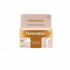 Терафлекс N60 капсулы