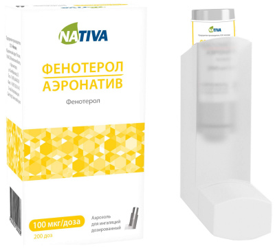 Фенотерол-аэронатив аэроз. доз. 100мкг/доза 200доз №1