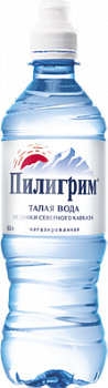 Вода минеральная Пилигрим Спорт