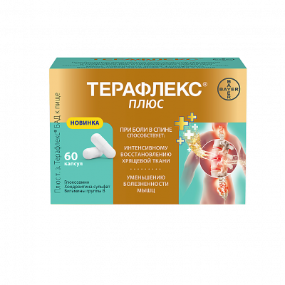 Терафлекс плюс капс. №60